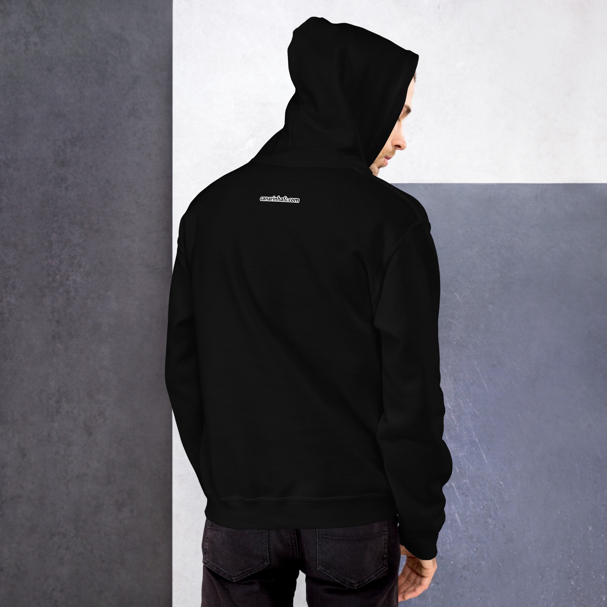 unisex-heavy-blend-hoodie-black-back-6573138aa085b.jpg
